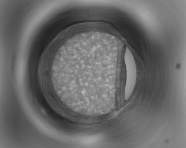 X0000116590765201001211326