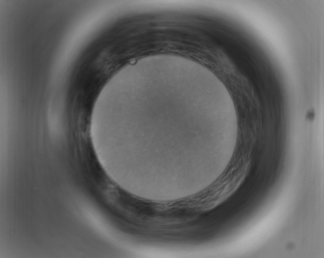 X0000116590766201001211326