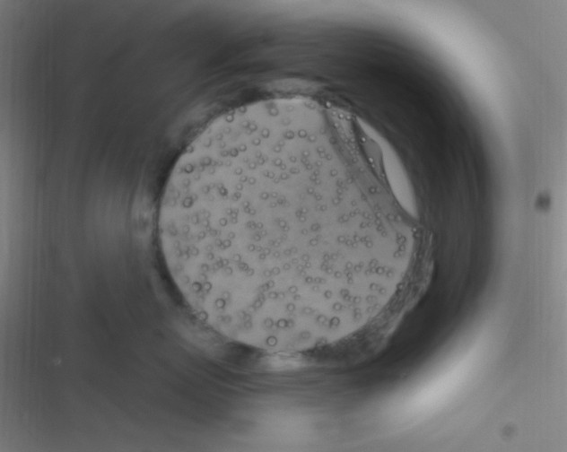 X0000116590767201001211326