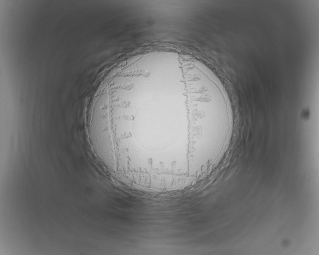 X0000116590769201001211325