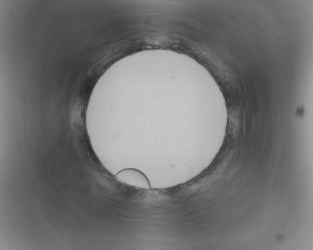 X0000116590770201001211325