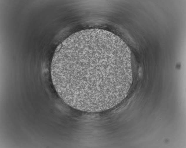 X0000116590771201001211325