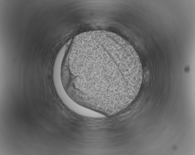 X0000116590772201001211325