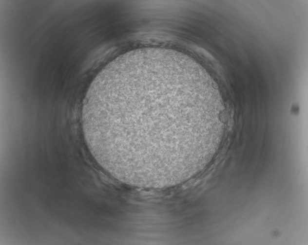 X0000116590774201001211325