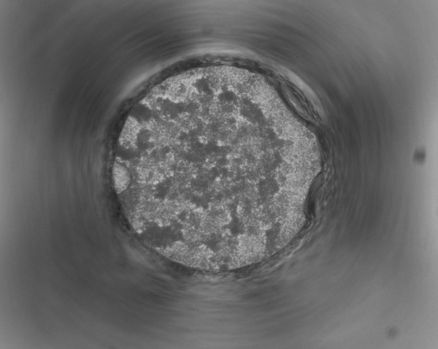 X0000116590775201001211325