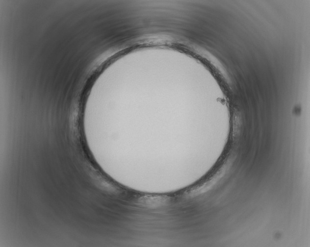 X0000116590778201001211325