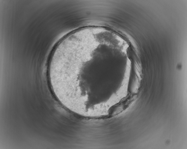 X0000116590779201001211325