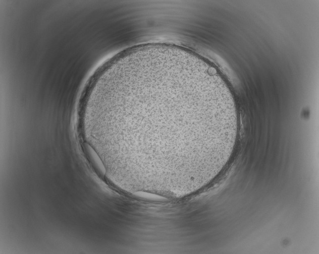 X0000116590780201001211325