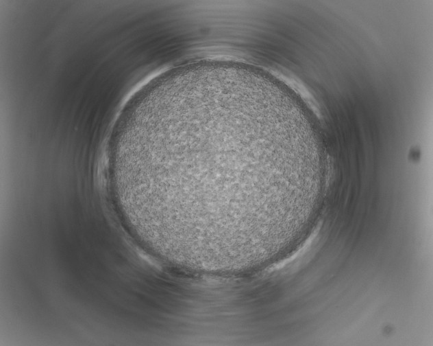 X0000116590782201001211325