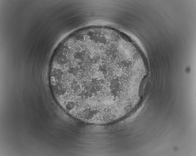 X0000116590783201001211325