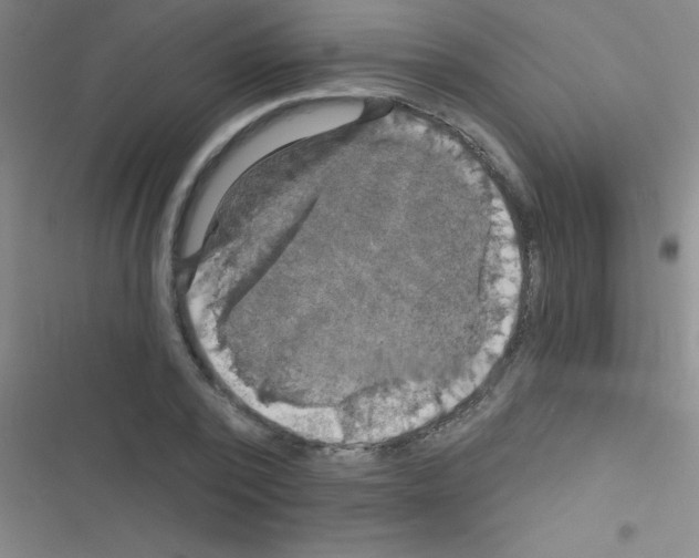 X0000116590784201001211325