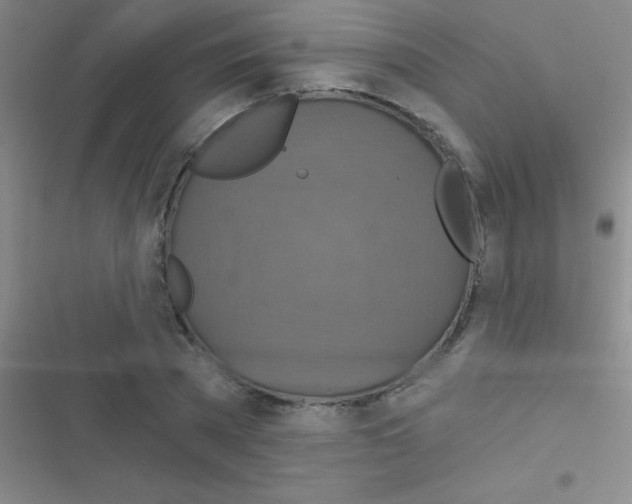 X0000116590785201001211325