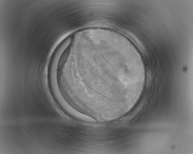 X0000116590788201001211325