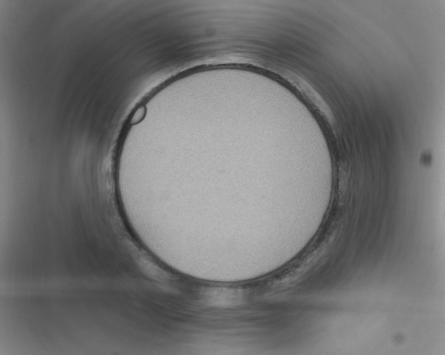 X0000116590789201001211325