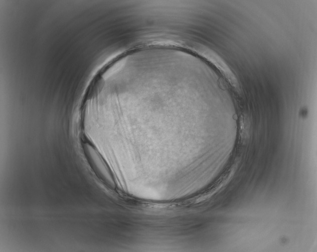 X0000116590790201001211325