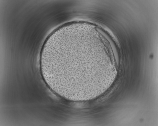 X0000116590791201001211325