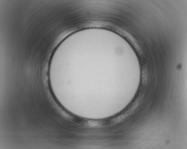 X0000116590794201001211325