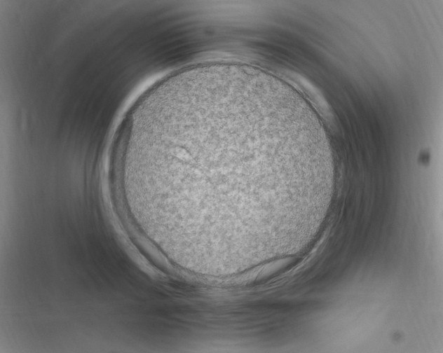 X0000116590796201001211325