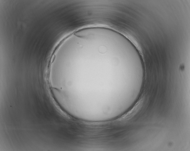 X0000116590797201001211325