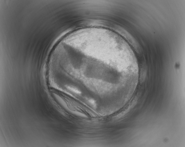 X0000116590798201001211325