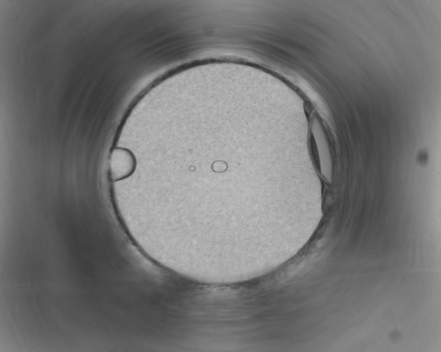 X0000116590799201001211325