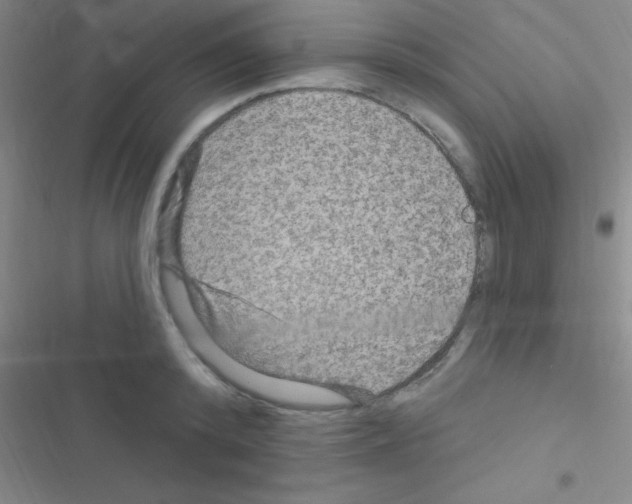 X0000116590800201001211325