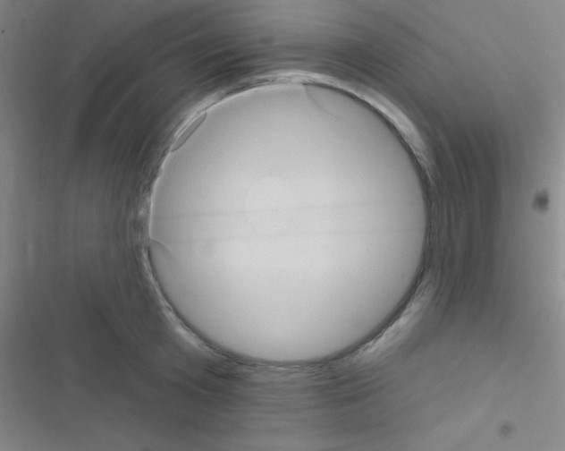 X0000116590801201001211325