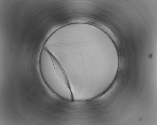 X0000116590802201001211325