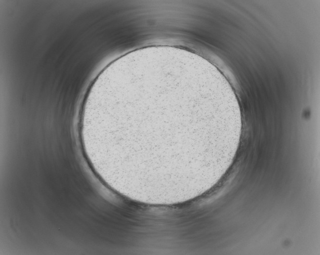 X0000116590803201001211325