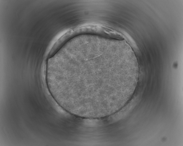 X0000116590804201001211325