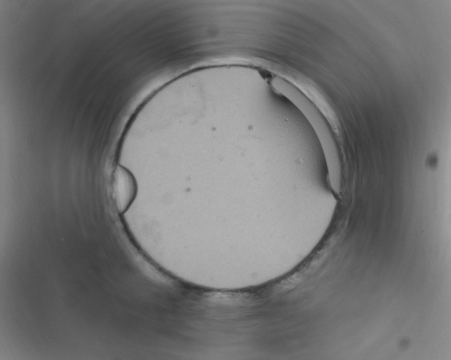 X0000116590805201001211325