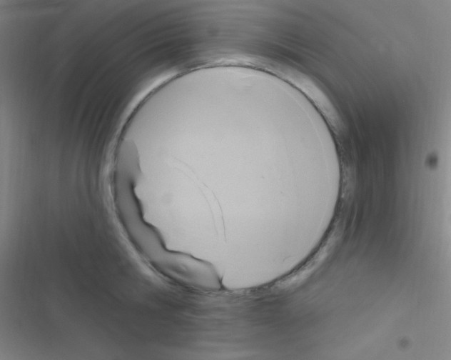 X0000116590806201001211325