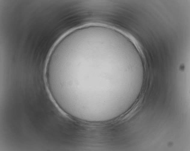 X0000116590807201001211325