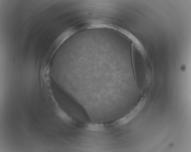 X0000116590809201001211325