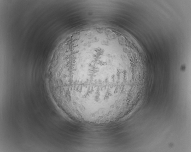 X0000116590810201001211325