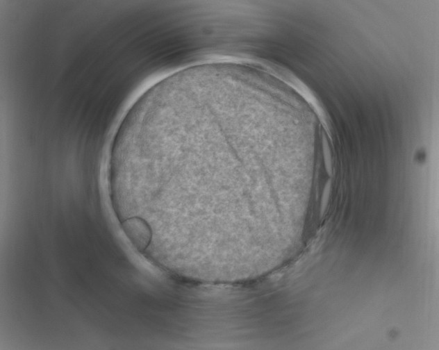 X0000116590811201001211325