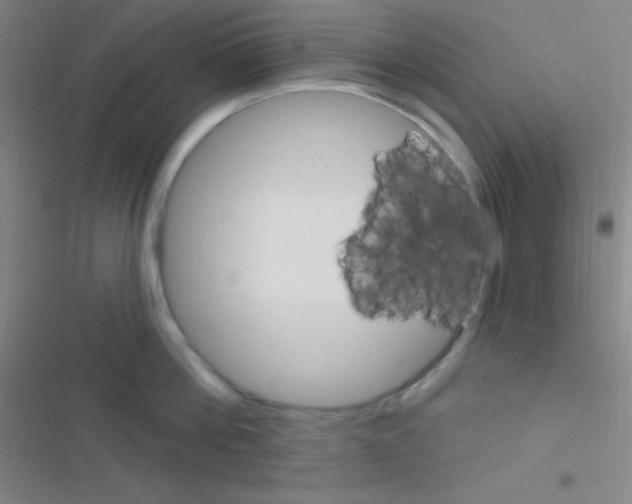 X0000116590812201001211325