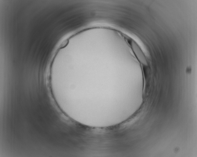 X0000116590815201001211325