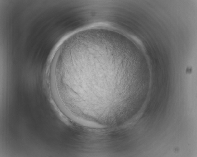 X0000116590816201001211325