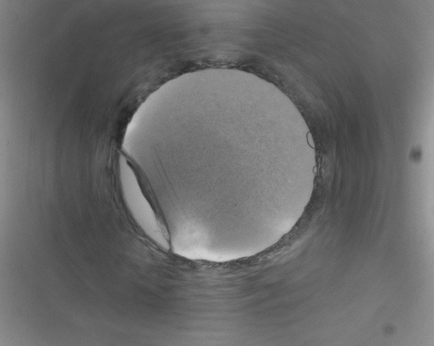 X0000116590818201001211324