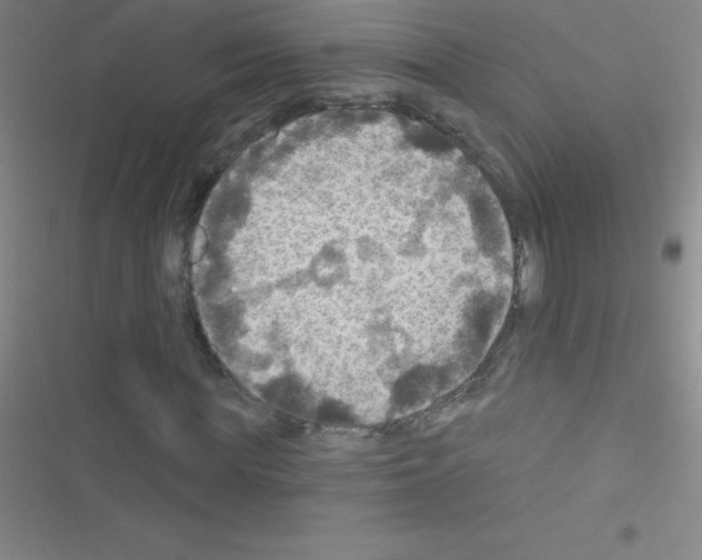 X0000116590819201001211324