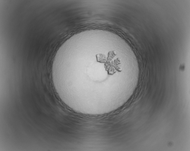 X0000116590820201001211324