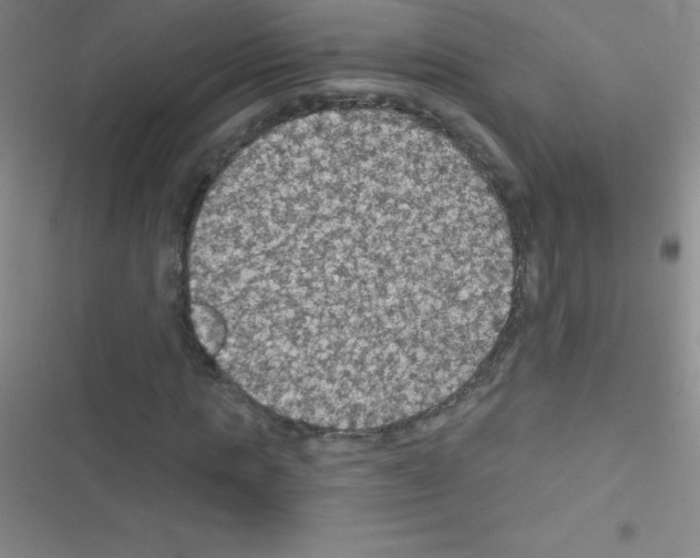 X0000116590821201001211324