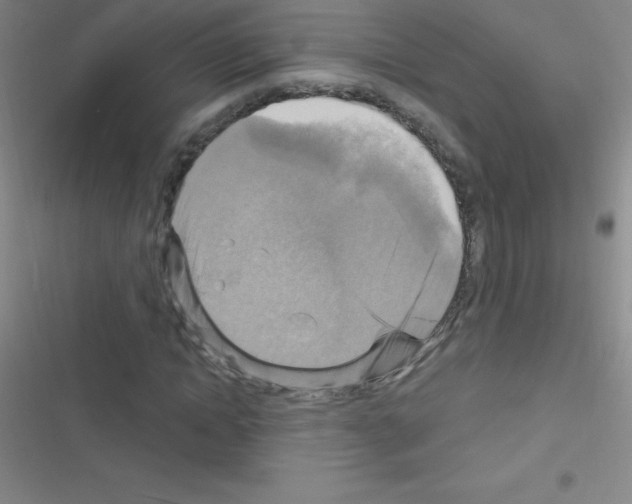 X0000116590822201001211324