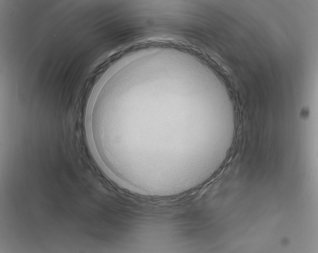 X0000116590824201001211324