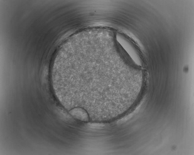 X0000116590825201001211324