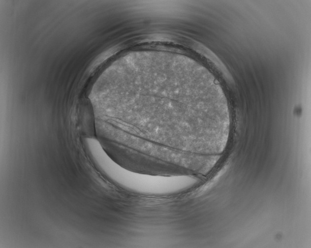 X0000116590826201001211324