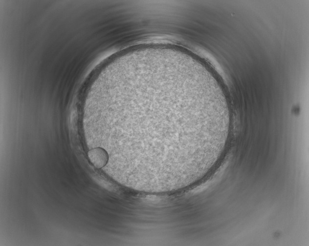 X0000116590827201001211324