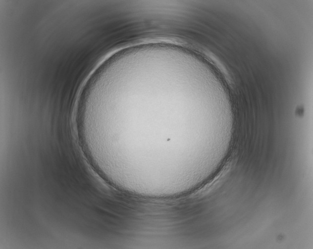 X0000116590828201001211324