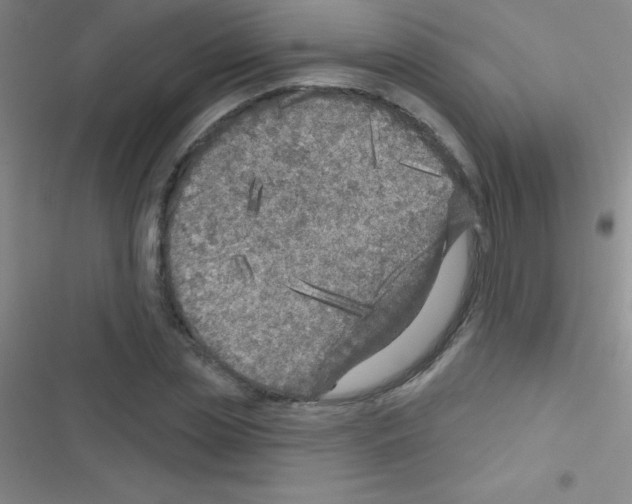 X0000116590829201001211324